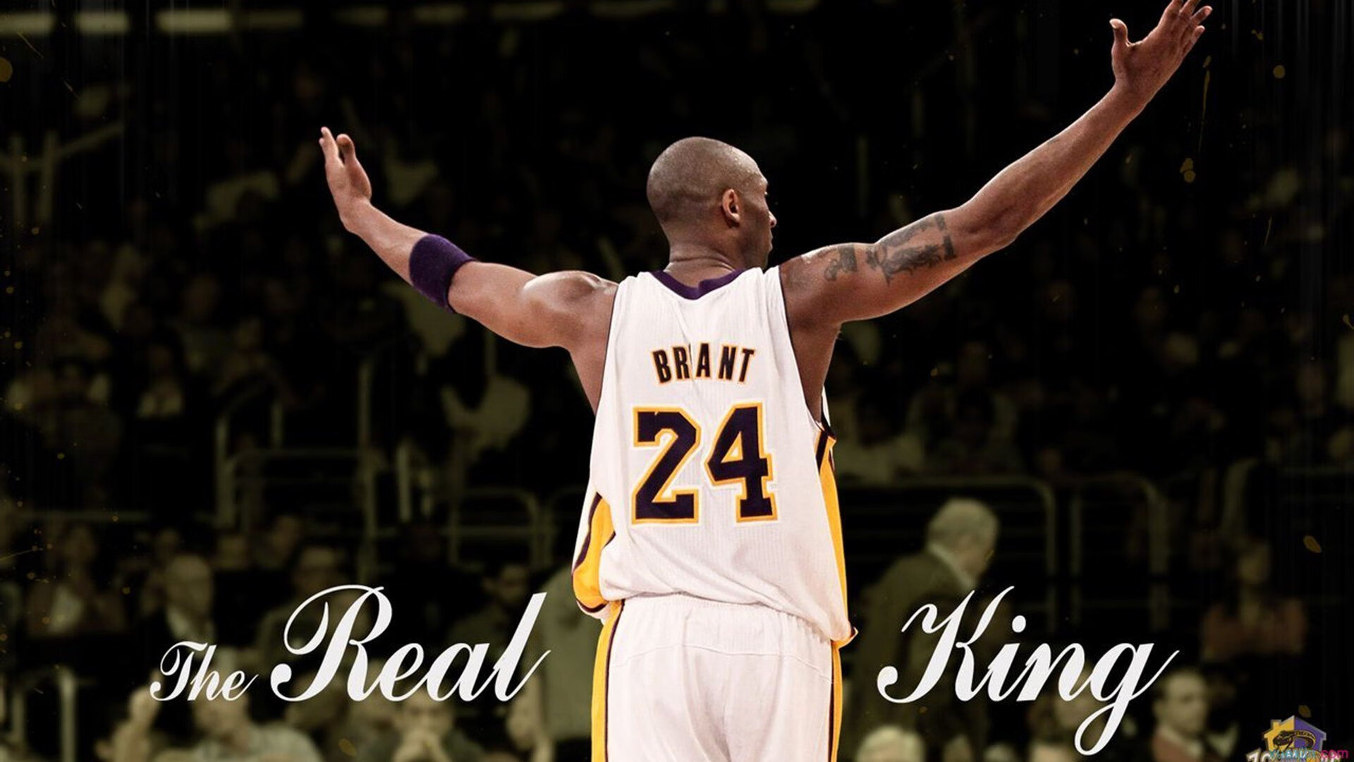 开云电子竞技-史上最年轻冠军出炉，刷新纪录，史上最年轻mvp